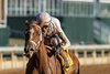 American History wins the 2026 Breeders' Futurity at Keeneland