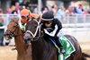 R Disaster wins the 2026 Gallant Bloom Stakes at Belmont Park