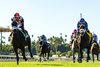 New York-bred Vanta and jockey Umberto Rispoli, left, win the Grade III $100,000 Surfer Girl Stakes Sunday, October 4, 2026, at Santa Anita Park, Arcadia, CA. The two-year-old daughter of Greatest Honour is owned by Dutch Girl Holdings and Irving Ventures and trained by Jeff Mullins.
Benoit Photo