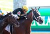 Willy D's wins the 2026 Fayette Stakes at Keeneland
