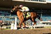 Magical Trickster wins the 2026 Frost King Stakes at Woodbine