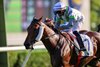 Light Years Charm wins the 2026 Sha Tin Trophy Handicap