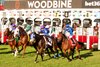 Arabian Crown (FR) wins the 2026 Canadian International Stakes at Woodbine