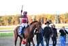 Americathegreat wins the 2026 Sands Point Stakes at Belmont Park