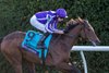 Sun Goddess with Ryan Moore wins the Grade 1 Breeders’ Cup Juvenile Fillies Turf. at Keeneland Racecourse in Lexington, KY on October 30, 2026.