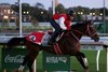 Forever Young (JPN) on Sunday, October 18, 2026 at Belmont Park