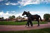 Tattersalls Book 3 16/10/2026