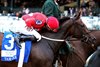 Tam Tam wins the 2026 Queen Elizabeth II Challenge Cup Stakes at Keeneland