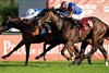True Love (Ryan Moore) wins the Prix de la Foret
Longchamp 4.10.26 Pic: Edward Whitaker