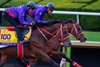 Forever Young (outside) working with American Stage
Breeders’ Cup contenders and training scenes at Keeneland in Lexington, Ky., on Oct. 28, 2026.
