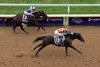 T O Elvis (Ryusei Sakai) beats Englishman (Jose Ortiz) in the Sprint
Keeneland 31.10.26 Pic: Edward Whitaker