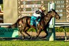 Glen Hill Farm's People Watching and jockey Katie Davis win the Grade III, $100,000 Autumn Miss Stakes, Sunday, October 25, 2026 at Santa Anita Park, Arcadia CA.
© BENOIT PHOTO
