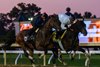 Golden Tempo inside working
Breeders’ Cup contenders and training scenes at Keeneland in Lexington, Ky., on Oct. 23, 2026.