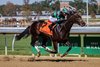 Mystik Bayou, Maiden Win, October 3 2026, Belmont Park