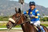 Domain Expansion and jockey Adrian Escobedo win the Grade II, $200,000 Oak Leaf Stakes, Saturday, October 3, 2026 at Santa Anita Park, Arcadia CA.
© BENOIT PHOTO