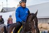 Sovereignty going out for a gallop at Keeneland Race Track before the Breeders' Cup weekend Oct. 28, 2026 in Lexington, Kentucky. Photo by Skip Dickstein
