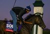 Listenupshance
Breeders’ Cup contenders and training scenes at Keeneland in Lexington, Ky., on Oct. 25, 2026.