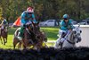 Western Fold with jockey Jack Kennedy, left jumps the last fence on the way to the win in the American Grand National at the Far Hills Race Meeting Oct. 17, 2026 in Far Hills, N.J. Photo Credit Far Hills Race Meeting Photo