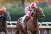 Ways and Means with Flavien Prat wins the Grade 1 Breeders’ Cup Filly and Mare at Keeneland Racecourse in Lexington, KY on October 31, 2026.