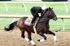 Sovereignty - Gallop - Keeneland Race Course - 10-22-26