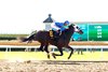 Jump Seat, Maiden Win, October 7 2026, Keeneland