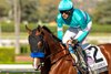 Hughes and jockey Juan Hernandez win the Grade I, $300,000 American Pharoah Stakes, Saturday, October 3, 2026 at Santa Anita Park, Arcadia CA.
© BENOIT PHOTO