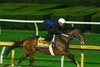 Magnitude
Breeders’ Cup contenders and training scenes at Keeneland in Lexington, Ky., on Oct. 24, 2026.