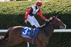 Libertango with Billy Loughnane wins the Grade 1 Breeders’ Cup Juvenile Turf Sprint, at Keeneland Racecourse in Lexington, KY on October 30, 2026.