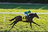 Bottas wins the 2026 Bryan Station Stakes at Keeneland
