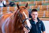Lot 1076 Showcasing (GB) / Accept The Outcome (IRE) Ch.C. (IRE)Ballyphilip Stud, IrelandShadwell Estate Company460,000 Tattersalls Book 2 14/10/2026