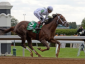 Carpe Diem - Horse Profile - BloodHorse