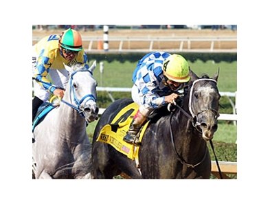 WV Derby Funds, Race Changes Win Approval - BloodHorse