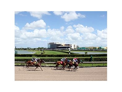 Calder Racetrack And Casino Calder Racetrack And Casino