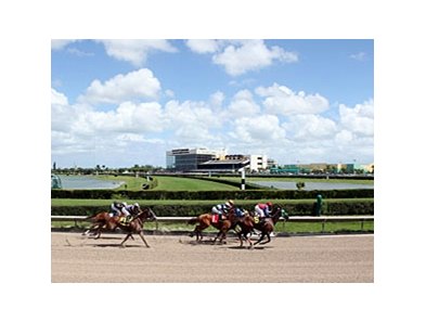 Calder Racetrack And Casino