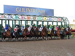 Gulfstream Expands Lead In Handle Bloodhorse