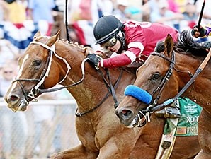 Tapiture - Horse Profile - BloodHorse