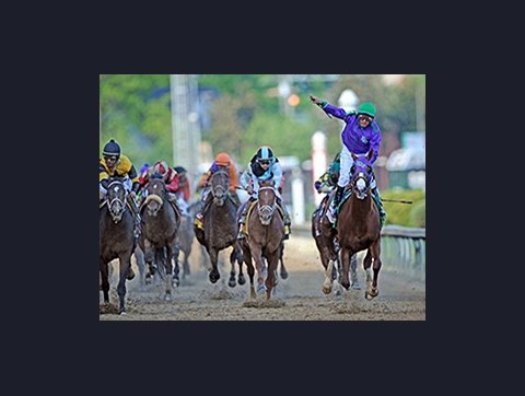 California Chrome Shines In Kentucky Derby Bloodhorse