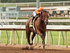 Beholder - Horse Profile - BloodHorse