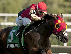 Up With the Birds Makes 2015 Debut in Dixie BloodHorse