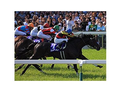 Fenomeno Returns for Second Tenno Sho Win - BloodHorse