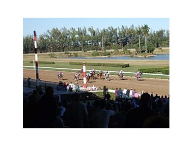 Hialeah Sees New Thoroughbred Opportunity - BloodHorse