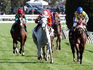 Tapitsfly - Horse Profile - BloodHorse