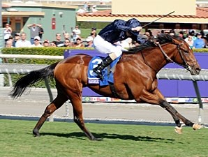 The Cup Horse Racing in Vancouver