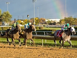 Redding Colliery - Horse Profile - BloodHorse