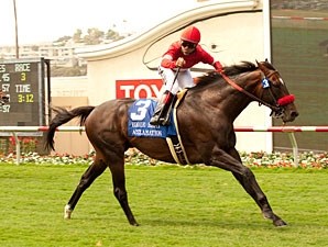 Acclamation - Horse Profile - BloodHorse