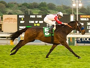 Spring House Racing Stables Spring House Sets Table for Dubai - BloodHorse