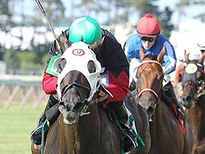 Castletown Horse Profile BloodHorse