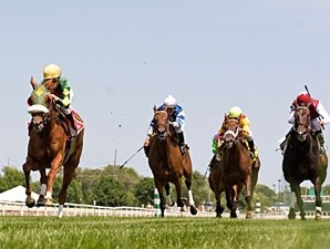 Pure Clan - Horse Profile - BloodHorse