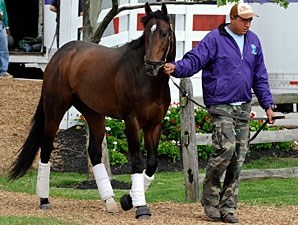 Riley Tucker - Horse Profile - BloodHorse