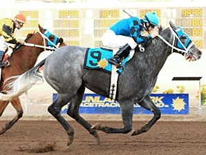 Chuchuluco Horse Profile Bloodhorse League of legends and riot games are trademarks or registered trademarks of riot games, inc. chuchuluco horse profile bloodhorse